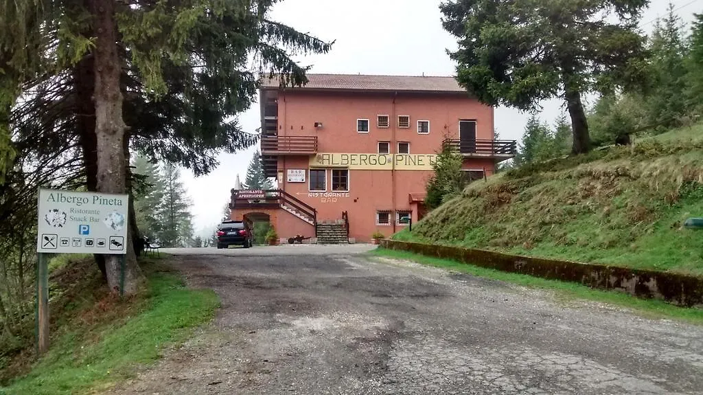 Albergo Ristorante Pineta Collio 2*,